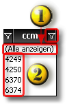 900_S_NkwFzgFltCCM1