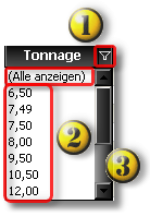 900_S_NkwFzgFltTon1