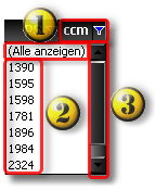 900_S_PkwFzgFltCCM1