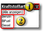 900_S_PkwFzgFltFuel1